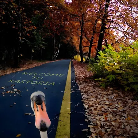 Apartman John & Jo Apartment! *