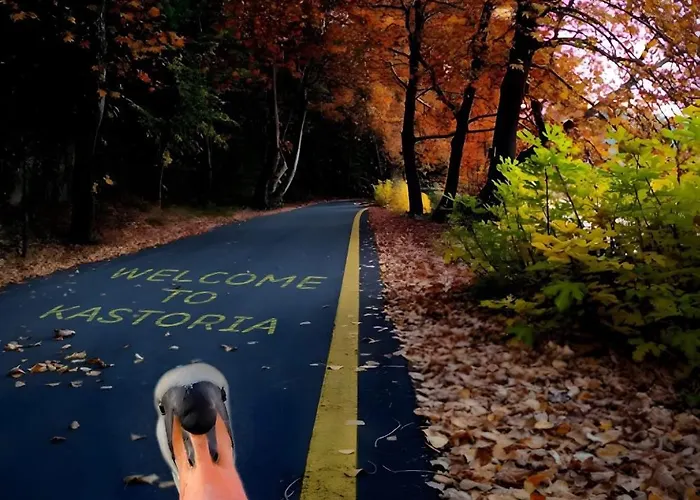 Apartment John & Jo Apartment! *